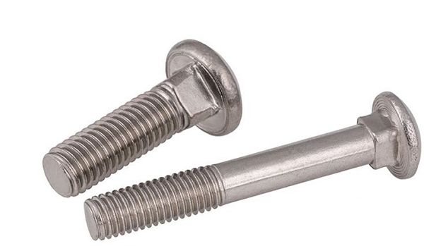 Stainless Steel 316 304 Carriage Bolt for DIN603