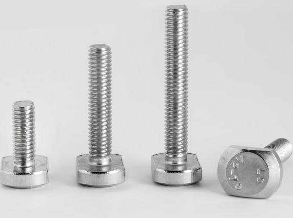 2019 High quality Stainless Steel Stud Bolt -
 Carbon Steel T Head Bolt DIN186 DIN188 – Novelty