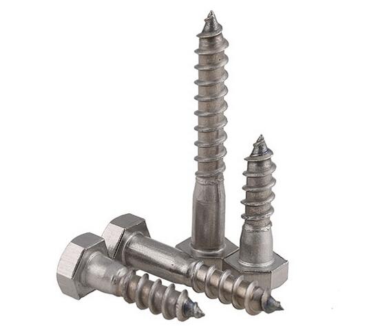 Stainless Steel Hex Wood Lag Screw