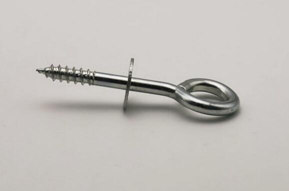 Stainless Steel Eye Screw with Washer