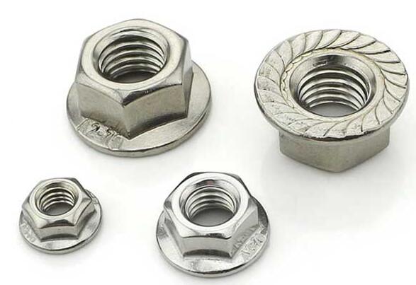 Steel Steel Hex Flange Nut DIN6923
