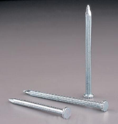 OEM/ODM Manufacturer High Strength Nails -
 High Quality Galvanized Concrete Steel Nail – Novelty